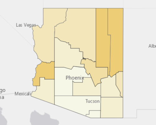 Map of Arizona showing the areas with a higher percentage of vacant property