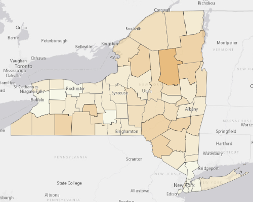 Map of New York showing the areas with a higher percentage of vacant property